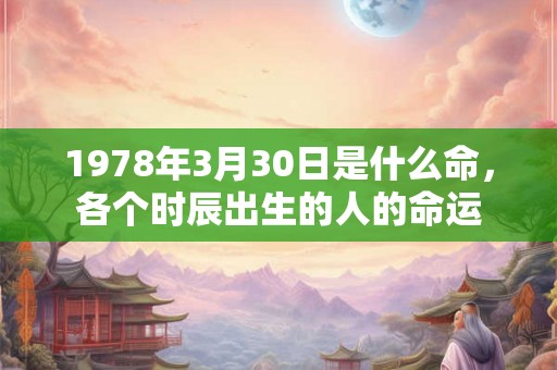 1978年3月30日是什么命，各个时辰出生的人的命运