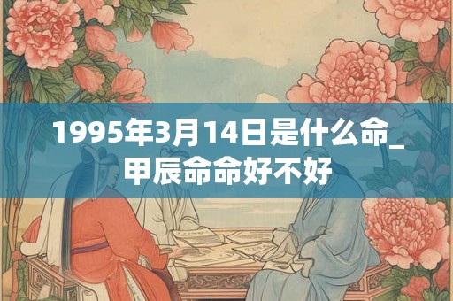 1995年3月14日是什么命_甲辰命命好不好 1995年3月14日是什么命_甲辰命命好不好