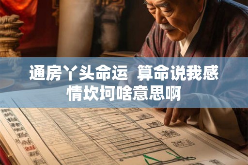 通房丫头命运  算命说我感情坎坷啥意思啊