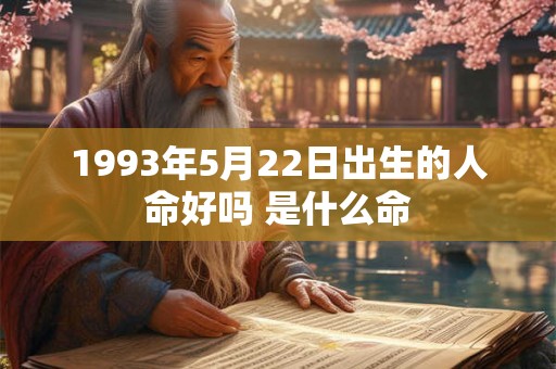 1993年5月22日出生的人命好吗 是什么命