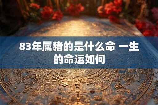 83年属猪的是什么命 一生的命运如何 83年属猪的是什么命 一生的命运如何