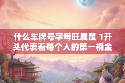 什么车牌号字母旺属鼠 1开头代表着每个人的第一桶金 什么车牌号字母旺属鼠 1开头代表着每个人的第一桶金