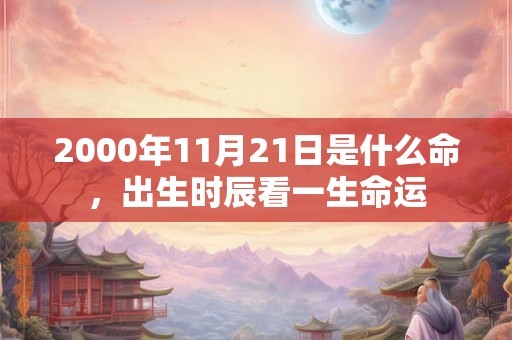 2000年11月21日是什么命，出生时辰看一生命运