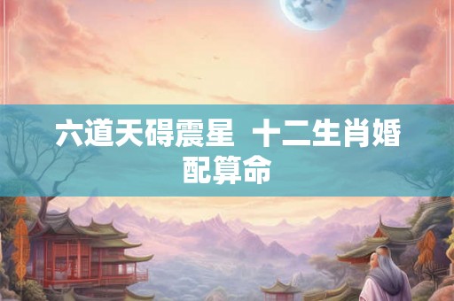 六道天碍震星  十二生肖婚配算命