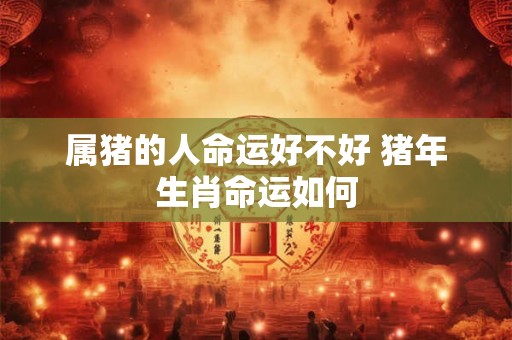 属猪的人命运好不好 猪年生肖命运如何