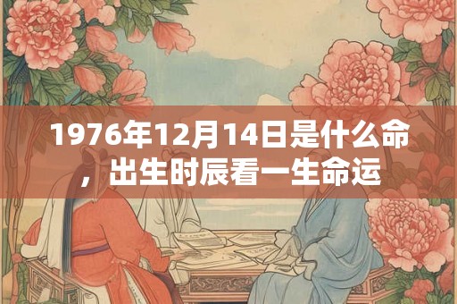 1976年12月14日是什么命，出生时辰看一生命运