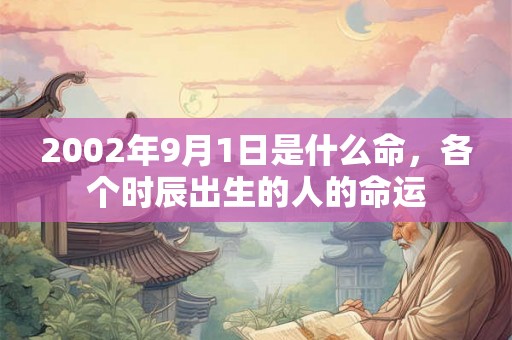 2002年9月1日是什么命，各个时辰出生的人的命运