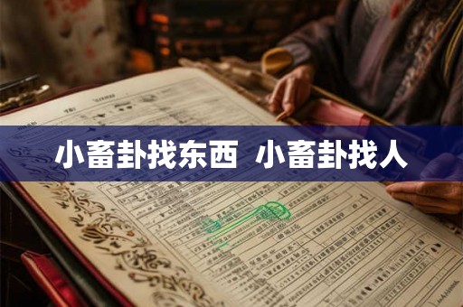 小畜卦找东西  小畜卦找人