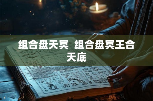 组合盘天冥  组合盘冥王合天底