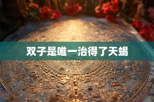双子是唯一治得了天蝎