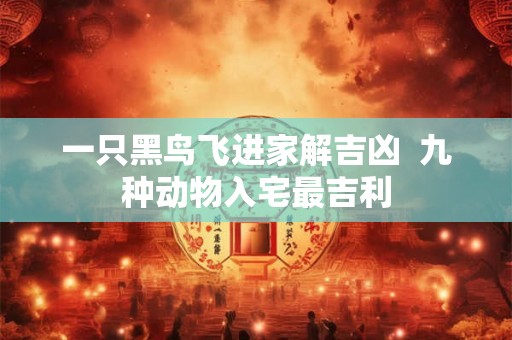 一只黑鸟飞进家解吉凶  九种动物入宅最吉利