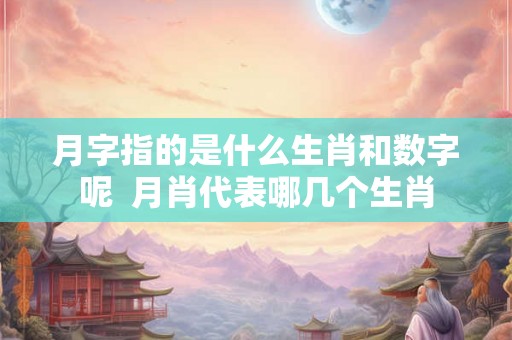 月字指的是什么生肖和数字呢  月肖代表哪几个生肖