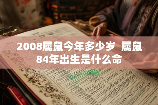 2008属鼠今年多少岁  属鼠84年出生是什么命