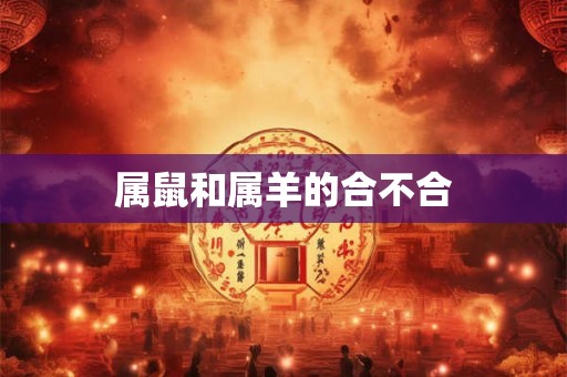 属鼠和属羊的合不合