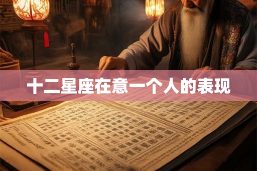 十二星座在意一个人的表现