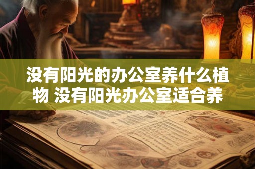 没有阳光的办公室养什么植物 没有阳光办公室适合养哪些植物
