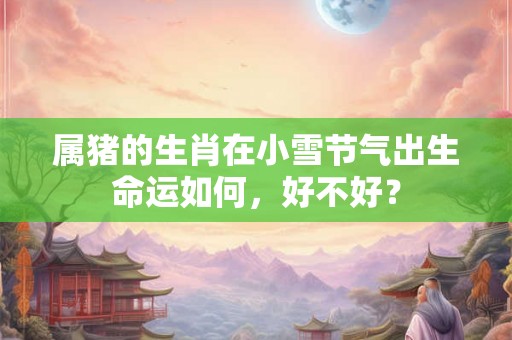 属猪的生肖在小雪节气出生命运如何，好不好？