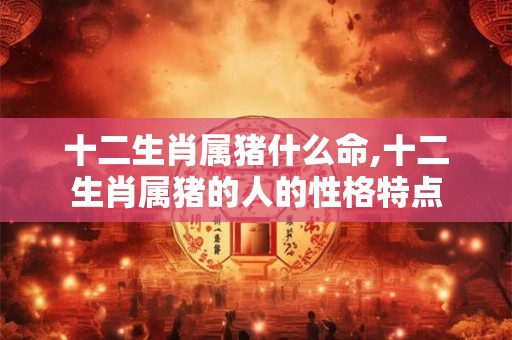 十二生肖属猪什么命,十二生肖属猪的人的性格特点 十二生肖属猪什么命,十二生肖属猪的人的性格特点