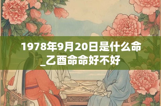 1978年9月20日是什么命_乙酉命命好不好