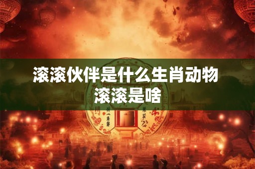 滚滚伙伴是什么生肖动物 滚滚是啥 滚滚伙伴是什么生肖动物 滚滚是啥