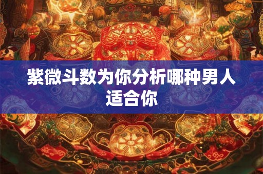 紫微斗数为你分析哪种男人适合你