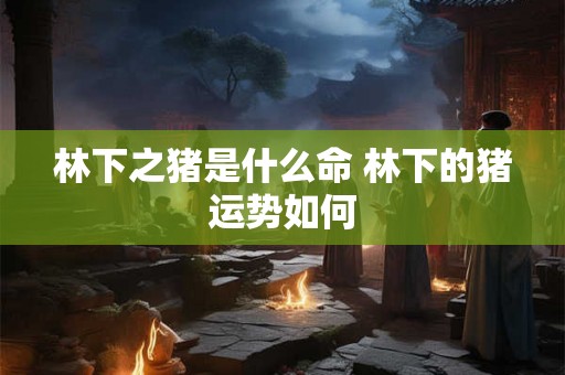 林下之猪是什么命 林下的猪运势如何