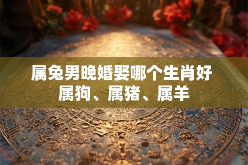 属兔男晚婚娶哪个生肖好 属狗、属猪、属羊