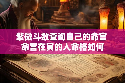 紫微斗数查询自己的命宫 命宫在寅的人命格如何
