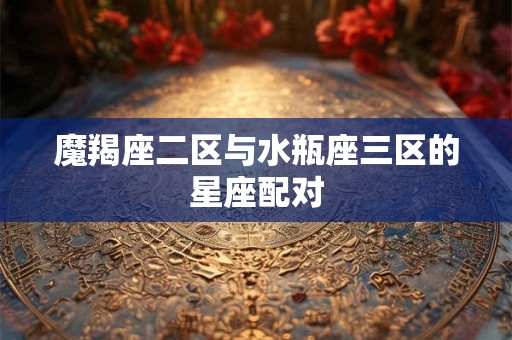 魔羯座二区与水瓶座三区的星座配对