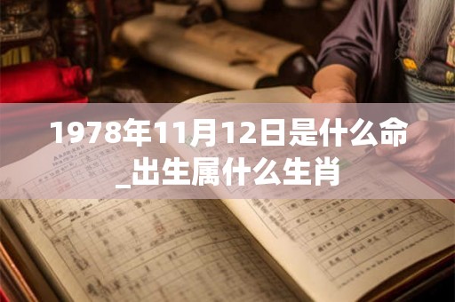 1978年11月12日是什么命_出生属什么生肖 1978年11月12日是什么命_出生属什么生肖