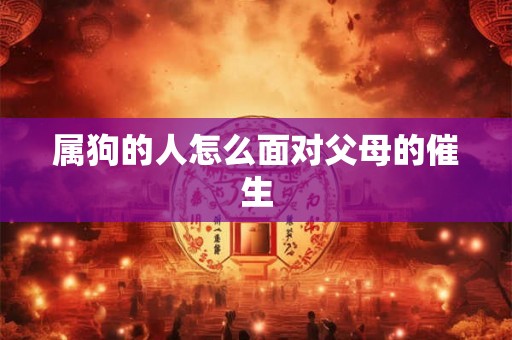 属狗的人怎么面对父母的催生