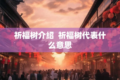 祈福树介绍  祈福树代表什么意思
