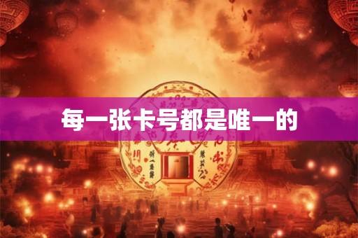 每一张卡号都是唯一的 每一张卡号都是唯一的