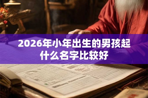 2026年小年出生的男孩起什么名字比较好 2026年小年出生的男孩起什么名字比较好