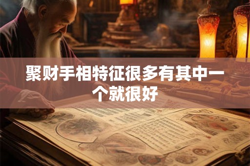 聚财手相特征很多有其中一个就很好