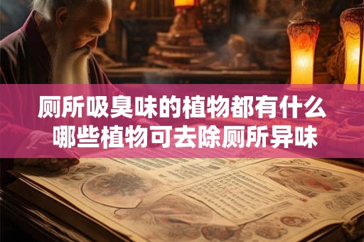 厕所吸臭味的植物都有什么 哪些植物可去除厕所异味 厕所吸臭味的植物都有什么 哪些植物可去除厕所异味