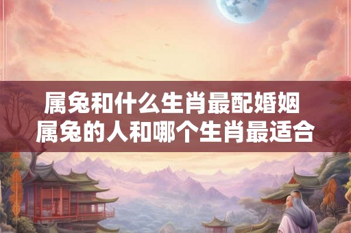属兔和什么生肖最配婚姻 属兔的人和哪个生肖最适合结婚