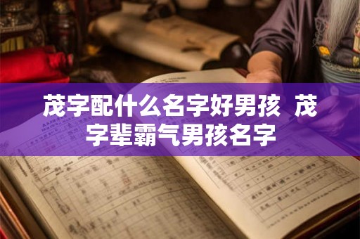 茂字配什么名字好男孩  茂字辈霸气男孩名字