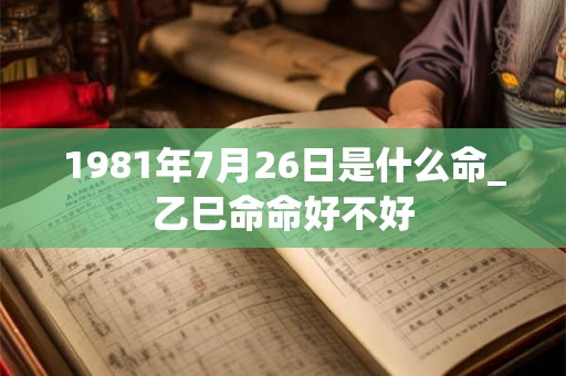 1981年7月26日是什么命_乙巳命命好不好