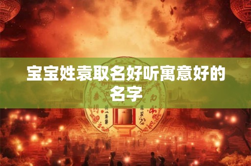 宝宝姓袁取名好听寓意好的名字