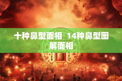 十种鼻型面相  14种鼻型图解面相