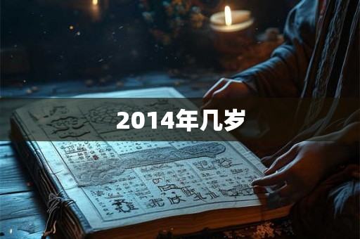 2014年几岁