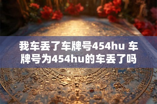 我车丢了车牌号454hu 车牌号为454hu的车丢了吗