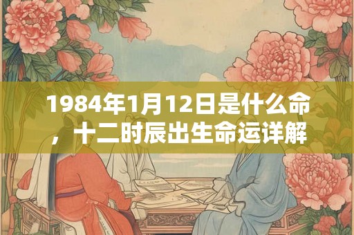 1984年1月12日是什么命,十二时辰出生命运详解 1984年1月12日是什么命,十二时辰出生命运详解