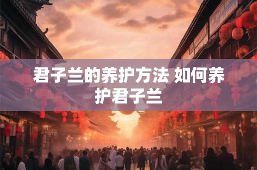 君子兰的养护方法 如何养护君子兰