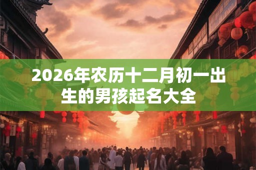 2026年农历十二月初一出生的男孩起名大全