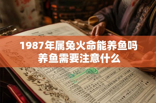 1987年属兔火命能养鱼吗 养鱼需要注意什么