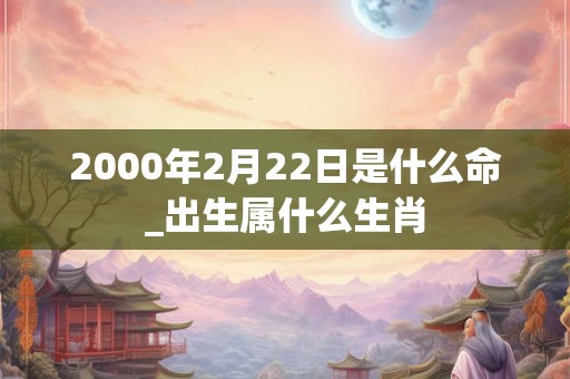 2000年2月22日是什么命_出生属什么生肖