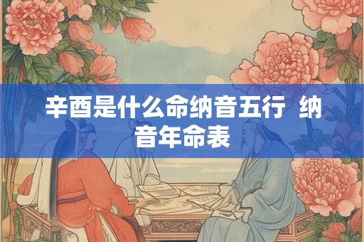 辛酉是什么命纳音五行  纳音年命表