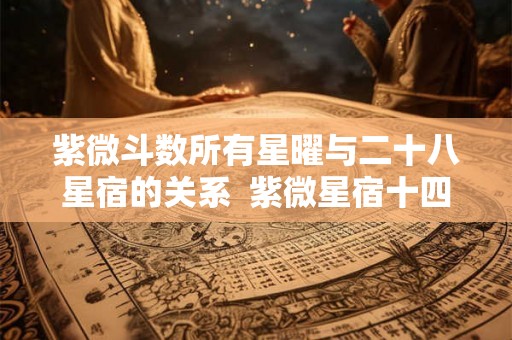 紫微斗数所有星曜与二十八星宿的关系  紫微星宿十四主星